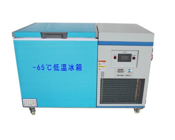 低溫冰箱-BKDW-300L-65度